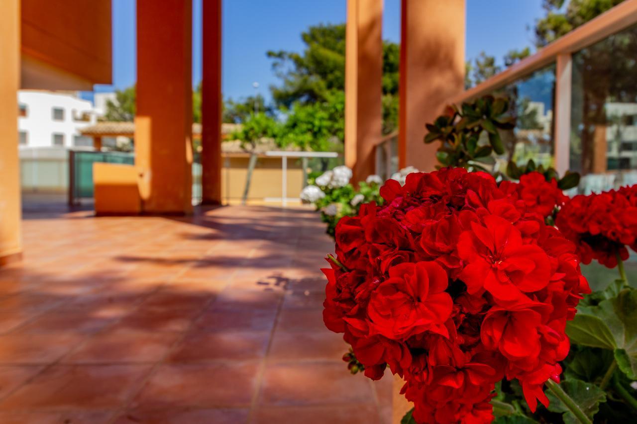 Apartament Realrent Mirador Al Mar Denia Zewnętrze zdjęcie